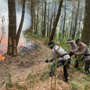 Sinergitas Polres Ngawi Bersama TNI dan Pemkab Upaya Padamkan Api di Lereng Gunung Lawu