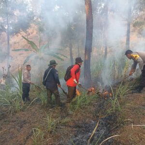 Gerak Cepat Polisi Bersama Perhutani dan Warga Padamkan Kebakaran Lahan di Trenggalek