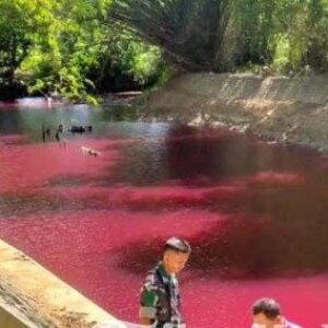 Update Kasus Sungai Berwarna Merah di Pamekasan, Polisi Berhasil Temukan Penyebab