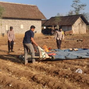 Respon Cepat Tanggapi Aduan Masyarakat, Polisi Bongkar Arena Judi Sabung Ayam di Banyuwangi