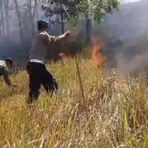 Polisi Bersama Petugas Gabungan Berhasil Padamkan Kebakaran Hutan Gunung Pucang Ranggah di Lumajang