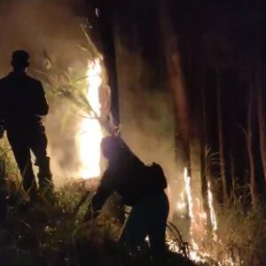 Polres Malang dan Tim Satgas Karhutla Berhasil Padamkan Kebakaran di Jabung