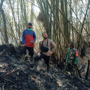 *Tim Gabungan Berhasil Padamkan Kebakaran Hutan di Gunung Anjasmoro Wonosalam, Jombang*
