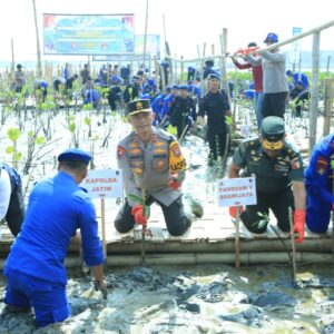 HUT Korp Brimob ke – 78 dan Polairud ke – 73, Kapolda Jatim Restorasi Hutan Mangrove Tanam 18.300 Bibit