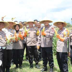 Polres Blitar Panen Kedua Jagung Swasembada untuk Anggota dan Masyarakat