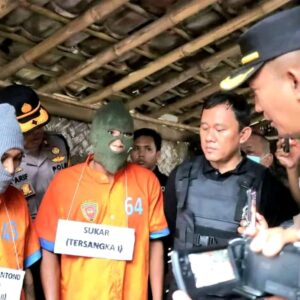 Polisi Berhasil Amankan Dua Tersangka Pencuri Sapi di Lumajang
