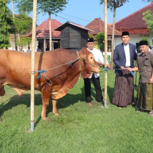 *Polres Jombang Bagikan Puluhan Hewan Kurban ke Pondok Pesantren Hingga Panti Asuhan*