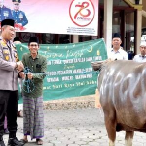 *Kapolda Jatim Berkurban 10 Sapi dan 17 Kambing untuk Ponpes,Ormas dan Organisasi Kemahasiswaan di Banyuwangi*