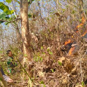 *Polisi Bersama TNI dan Relawan Berhasil Padamkan Kebakaran di Gunung Liliran Ngawi*