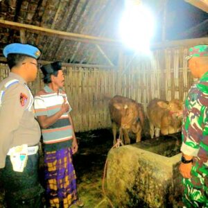 *Sinergitas Polisi Bersama TNI di Lumajang Rutin Patroli Malam Cegah Pencurian Hewan Ternak*