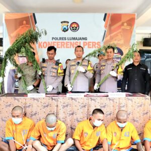 *Polres Lumajang Berhasil Ungkap Peredaran Narkoba dan Ladang Ganja 5 Tersangka Diamankan*