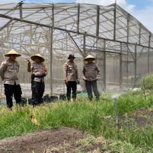 *Dukung Program Asta Cita Polresta Sidoarjo Rangkul Bumdes Gelorakan Swasembada Pangan*   Radarposnusantara.id — Polres  Jombang Polda Jatim,  Guna mendukung Program Asta Cita Presiden Republik Indonesia Prabowo Subianto di bidang ketahanan pangan, Polresta Sidoarjo bekerjasama dengan desa-desa binaan yang ada di wilayah Polsek jajaran.  Kerjasama tersebut diantaranya berupa kesiapan lahan untuk mewujudkan swasembada pangan sebagai langkah strategis dalam memperkuat ketahanan nasional.   Melalui Kabag SDM Polresta Sidoarjo Kompol Hery Dian Wahono dan Kasat Binmas Polresta Sidoarjo Kompol Yudhi Prastio yang didampingi Kapolsek Balongbendo AKP Sugeng Sulistiyono serta perangkat desa meninjau lahan Bumdes di Desa Bakung Temenggungan, Kecamatan Balongbendo.  Kabag SDM Polresta Sidoarjo Kompol Hery Dian Wahono mengatakan, peninjauan lahan di desa-desa binaan Polsek jajaran ini dalam rangka kesiapan perwujudan program Asta Cita mendukung 100 hari kerja Presiden RI.   “Pelaksanaan program ini juga melibatkan perangkat-perangkat desa dan warga setempat, khususnya terkait pengelolahan lahan,”ujar Kompol Hery Dian Wahono,Senin (4/11).  Polresta Sidoarjo juga telah berkordinasi dan bersinergi dengan perangkat desa dan warga guna dalam waktu dekat membuat green house dan kolam ikan.  “Selain kita akan memanfaatkan lahan seluas 5500 meter persegi di Desa Bakung Temenggungan, Kecamatan Balongbendo, dalam waktu dekat membuat green house dan kolam ikan,” ujar Kompol Hery Dian Wahono.  Upaya ini menurut Kepala Desa Bakung Temenggungan Abu Dawud merupakan langkah nyata dan komitmen bersama semua pihak dari tingkat pusat sampai desa.   Menurut Abu Dawud,ketahanan pangan adalah salah satu fondasi utama program nasional.   “Kami bersama TNI-Polri serta pihak terkait lainnya, terus berupaya memberikan dukungan kepada masyarakat dan para petani agar dapat menjalankan usaha mereka dengan aman dan lancar,” katanya. (seco)