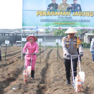 *Wujudkan Ketahanan Pangan Mandiri, Polres Blitar Kota Bersama Masyarakat Tanam Jagung di Lahan Aset Polri*
