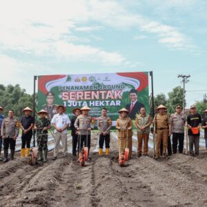 *Dukung Swasembada Pangan, Kapolres Jombang Bersama Frkopimda Tanam Jagung Serentak 1 Juta Hektar*