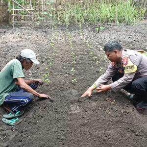 *Wujudkan Ketahanan Pangan, Bhabinkamtibmas Polres Nganjuk Ajak Warga Manfaatkan Lahan Sela*