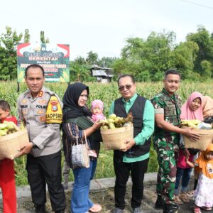 *Polres Madiun Kota Panen Raya Jagung Untuk Dukung Ketahanan Pangan Nasional*