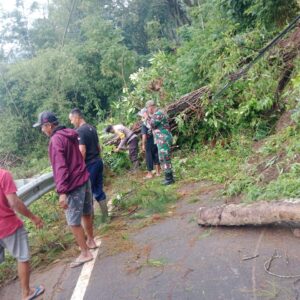 *Polisi bersama TNI dan Warga Bersihkan Longsor Jalur Wisata Telaga Ngebel di Ponorogo Kembali Normal*