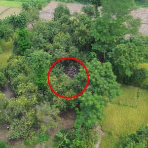 *Patroli Drone, Polres Pasuruan Kota Berhasil Identifikasi dan Bongkar Lokasi Sabung Ayam*
