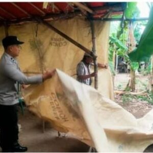 *Polisi Bongkar Arena Perjudian Sabung Ayam di Ngronggot Nganjuk*