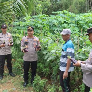 *Polres Pacitan Gelorakan Swasembada Pangan Melalui Program P2B*