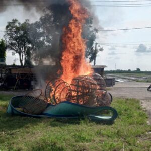 *Polisi Bongkar Arena Judi Sabung Ayam di TPS Ngaglik Sidoarjo*