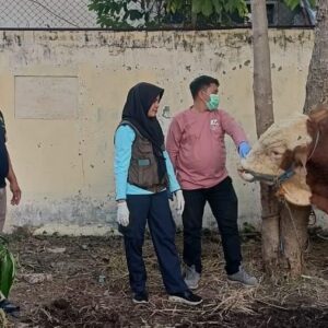 *Polres Madiun Kota Datangkan Dokter Hewan Pastikan Kesehatan Hewan Kurban*