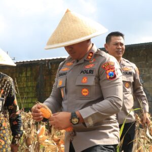 *Polres Malang Panen Raya Jagung Dukung Ketahanan Pangan Nasional*