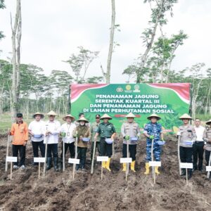 *Dukung Program Nasional Swasembada Pangan, Polres Jombang Gelar Penanaman Jagung Serentak*