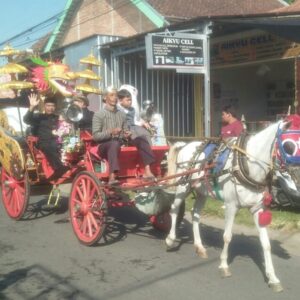 Dalam Rangka Sedekah Desa Keras, Jombang Di tandai Dengan Do’a Bersama Dan Pawai Budaya Lokal.   Radarposnusantara.id —  Pemerintah Desa Keras, Kecamatan Diwek  ,Kabupaten Jombang menggelar acara Do’a bersama di lanjutkan pawai  budaya dalam rangka sedekah Desa Keras yang bertempat di punden, Sabtu  (19/7/2025) mulai pukul 08,00 Wib -Selesai.   Acara ini tidak sekedar menjadi agenda tahunan, melainkan juga wujud nyata dari semangat gotong royong, kerukunan, dan  budaya lokal yang terus dipertahankan di tengah arus modernisasi.   Sedekah Desa merupakan bentuk  rasa syukur atas berkah dari Allah SWT atas rahmat dan nikmat yang telah di berikan yang berupa kesehatan .Hal  itu  sebagai pengingat bahwa  Alloh SWT bersifat rahman rohim.   Pawai  budaya kali ini dimeriahkan oleh arak-arakan hasil bumi meliputi sayur-sayuran ,Buah-buahan ,hasil panen polo wijo yang di kemas layaknya bentuk gunungan yang nantinya di bagikan ke warga masyarakat yang hadir.  Tak ketinggalan atraksi  kesenian daerah antara lain: peragaan persembahan kerajaan Majapahit , atraksi perguruan PSHT , Barisan tim penggerak PKK ,Barisan Anak SD ,MTs ,MA dan Marsching Band Desa Keras, Kecamatan Diwek Kabupaten Jombang.   Selain sebagai hiburan rakyat, seluruh rangkaian ini juga mengandung pesan moral dan spiritual pentingnya rasa syukur terhadap Tuhan YME.   Dalam kesempatan itu Kepala Desa Keras Sukardi  mengucapkan  terima kasih kepada seluruh warga yang hadir yang telah bahu-membahu mensukseskan acara ini.  “Ini adalah bentuk rasa syukur kami kepada Allah SWT atas rahmat serta  nikmat yang telah di berikan   Kami berharap tradisi ini terus dijaga dan di lestarikan supaya tidak pudar dan kami berharap warga Desa Keras selalu guyub rukun serta saling menjaga kerukunan satu sama lain,” ucapnya kepada awak media radarposnusantara.id.   Ia menambahkan bahwa dengan adanya kegiatan ini, ikatan sosial antarwarga semakin kuat dan memberi semangat baru untuk menjaga keharmonisan serta ketahanan sosial bermasyarakat.  ” Tradisi sedekah desa seperti ini bukan hanya menjaga budaya, tetapi juga mempererat silaturahmi dan menumbuhkan rasa syukur dalam kehidupan sehari-hari,” ujarnya.  Ia berharap, kegiatan ini dapat di pertahankan dan di wariskan kepada para generasi muda agar dapat menjaga kearifan budaya lokal yang mempunyai nilai dan pesan moral.  ” Budaya tidak hanya diwariskan, tetapi juga bisa dihidupkan dan dikembangkan oleh generasi muda tanpa kehilangan nilai-nilai luhur yang terkandung di dalamnya,” pungkas Kades Sukardi.   Dengan terselenggaranya acara sedekah desa dan doa bersama yang di saksikan oleh berbagai pihak ,Kepala Desa, Kapolsek beserta anggota,Danramil beserta anggota ,Babinsa,Babinkamtibmas Tokoh Masyarakat, Tokoh Agama Rt ,Rw  dan seluruh lapisan  masyarakat yang hadir tanpa terkecuali.   Sementara pantauan awakmedia radarposnusantara.id di lokasi  acara tersebut  berlangsung aman dan kondisif penuh hikma.  (Red/Tim)