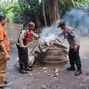 Tindaklanjuti Laporan Warga Polisi Bongkar Arena Sabung Ayam di Sidoarjo*