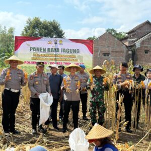 *Menuju Swasembada Pangan, Kapolres Trenggalek Bersama Warga Panen Raya Jagung*