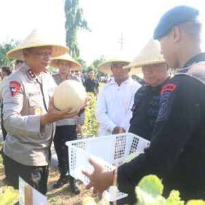 *Brimob Polda Jatim Panen Melon dan Semangka, Dukung Program Ketahanan Pangan Nasional*