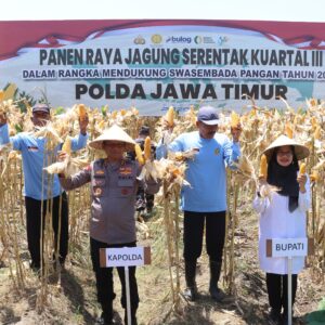 *Komitmen Wujudkan Ketahanan Pangan Nasional, Kapolda Jatim Bersama Forkopimda Banyuwangi Gelar Panen Jagung Serentak 1.446 Ton*