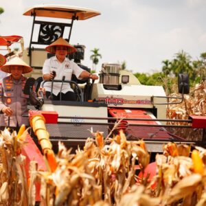Panen Raya Kuartal III Polri Hasilkan 751 Ribu Ton Jagung, Bukti Nyata Dukung Swasembada Pangan*