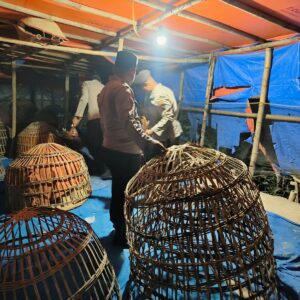*Polres Lamongan Bongkar Arena Judi Sabung Ayam di Dua Lokasi*