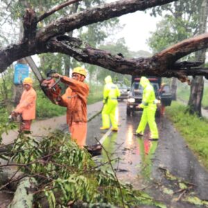 Respon Cepat Polisi dan BPBD Evakuasi Pohon Tumbang, Jalur Magetan – Bendo Kembali Lancar*