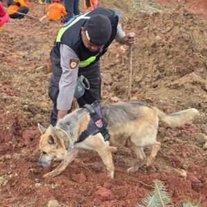 Polri Kerahkan Anjing Pelacak dalam Pencarian Korban Longsor Cilacap