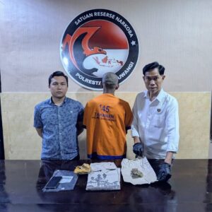*Polresta Banyuwangi Ungkap Peredaran Ganja Satu tersangka Diamankan*