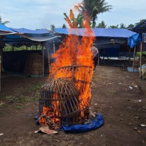 *Polresta Banyuwangi Bongkar Arena Judi Sabung Ayam*