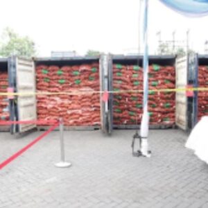 *Polda Jatim Ungkap Peredaran 72 Ton Bawang Bombay Ilegal Ber-OPTK*