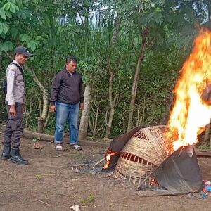 *Polres Malang Bongkar Arena Judi Sabung Ayam di Kalipare*