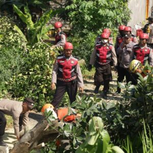 *Tanggap Bencana, Polres Tuban Tangani Dampak Angin Puting Beliung*