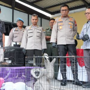 *Polresta Sidoarjo Ungkap Perdagangan Ilegal Satwa Lindung Jaringan Internasional*