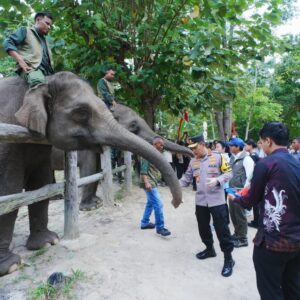 Kapolri-Titiek Soeharto Tinjau Tesso Nilo, Pastikan Konservasi Gajah Aman