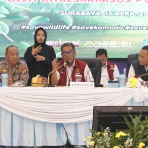 *Polda Jatim Ungkap Jaringan Perdagangan Satwa Dilindungi Belasan Tersangka Diamankan*