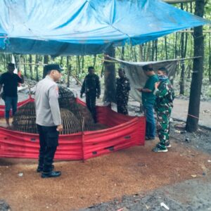 **Kolaborasi TNI-Polri Intensifkan Penindakan Judi Sabung Ayam di Jombang**