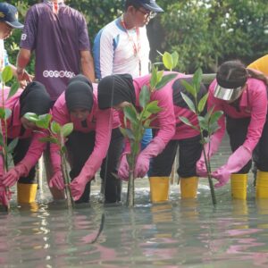 *Sambut HUT ke-46, YKB Tanjung Perak Tanam Mangrove Pulihkan Lahan Kritis*