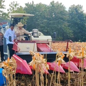 *Presiden Prabowo dan Kapolri Panen Raya Jagung Nasional di Tuban Perkuat Ketahanan Pangan*
