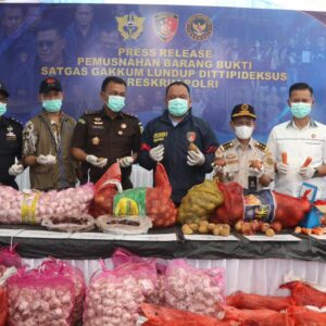 *Bareskrim Polri Musnahkan Ribuan Kilogram Bawang Impor Ilegal dari Jalur Tikus Perbatasan Malaysia*