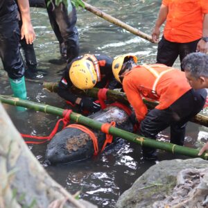 *Respons Cepat Polres Blitar Kota dan Tim Jibom Brimob Polda Jatim Berhasil Evakuasi Bom Udara Aktif*